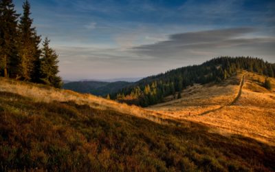 Polsko – křižovatka východní Evropy